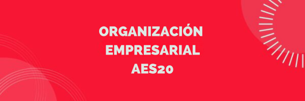 Course Image AES20- Organización Empresarial